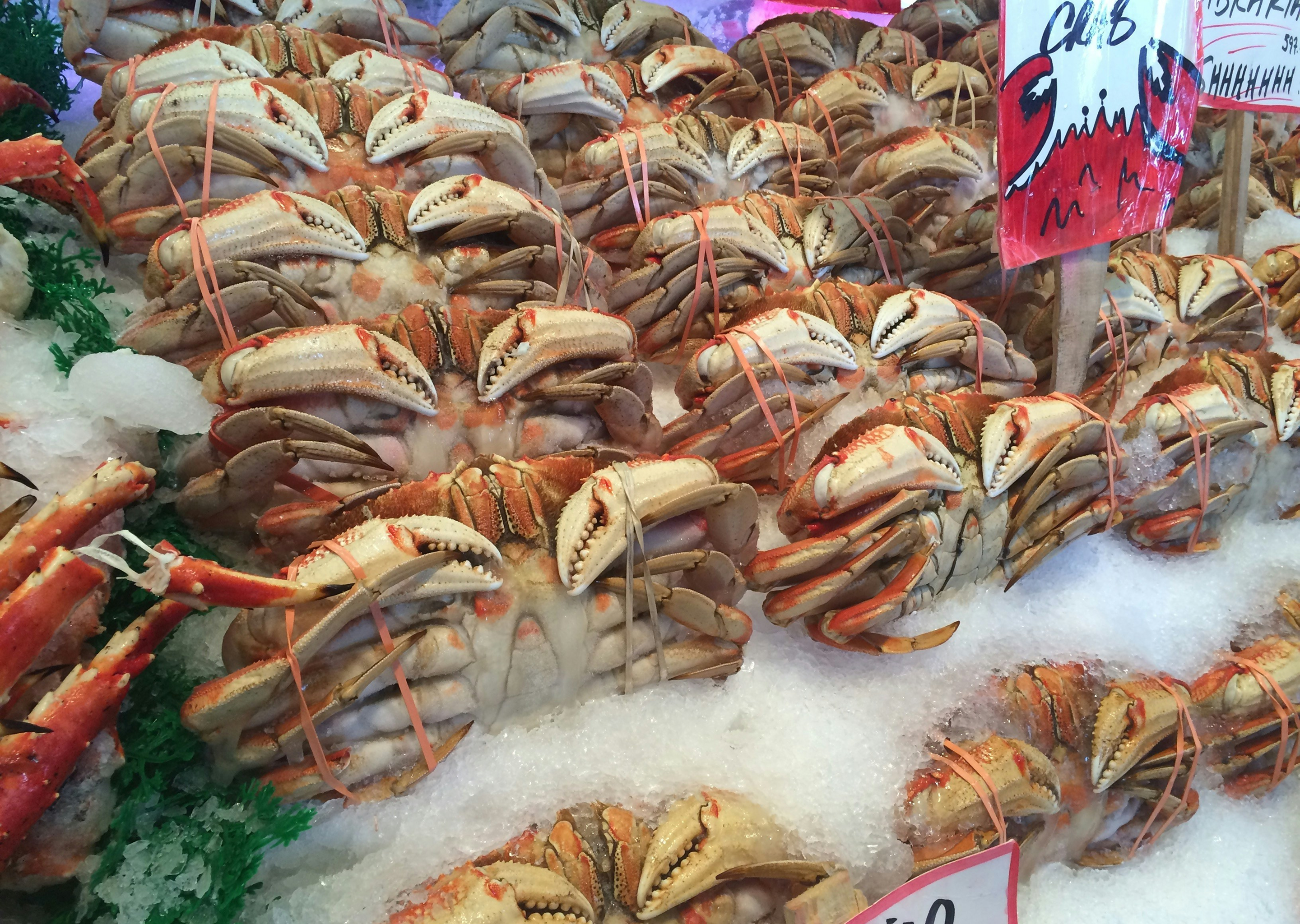 꽃게 대문 이미지